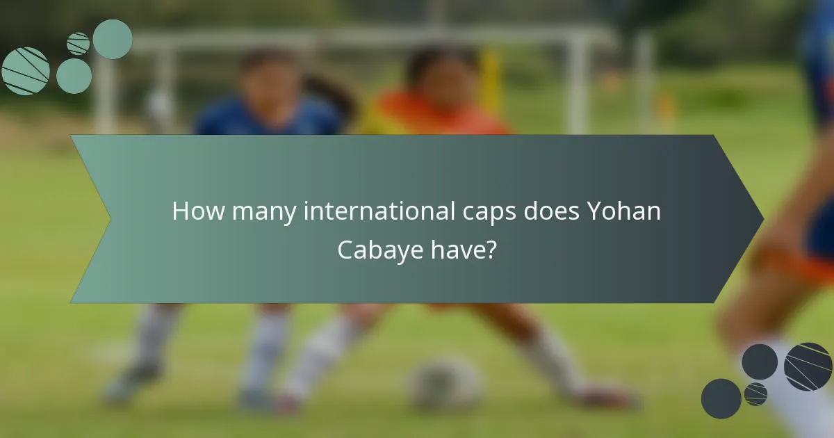 How many international caps does Yohan Cabaye have?